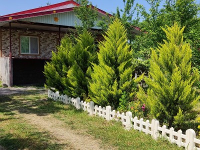 "ویلای دو خوابه با حیاطی دربست"