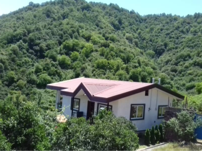 استخر بزرگ مشرف به کوهستان‌های جنگلی