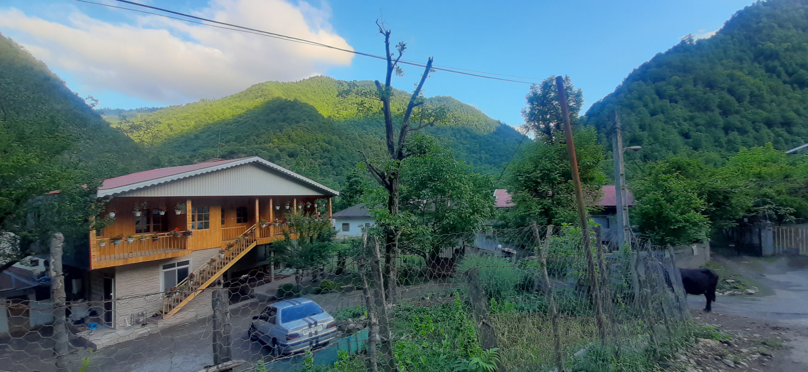 نمااصلی