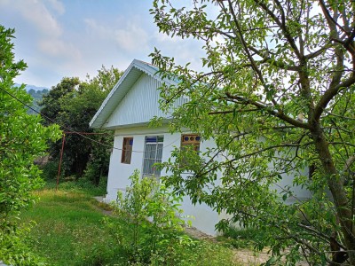 ویلای نقلی گل انار