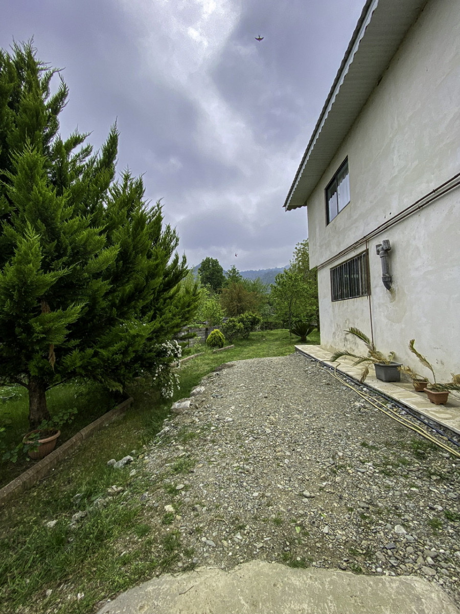 ورودی حیاط ورودی حیاط