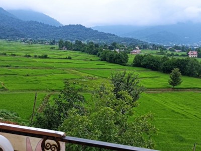 وشمه سرا با ویو عالی، نیم پلوت، دارای بهارخواب وشمه سرا با ویو عالی، نیم پلوت، دارای بهارخواب