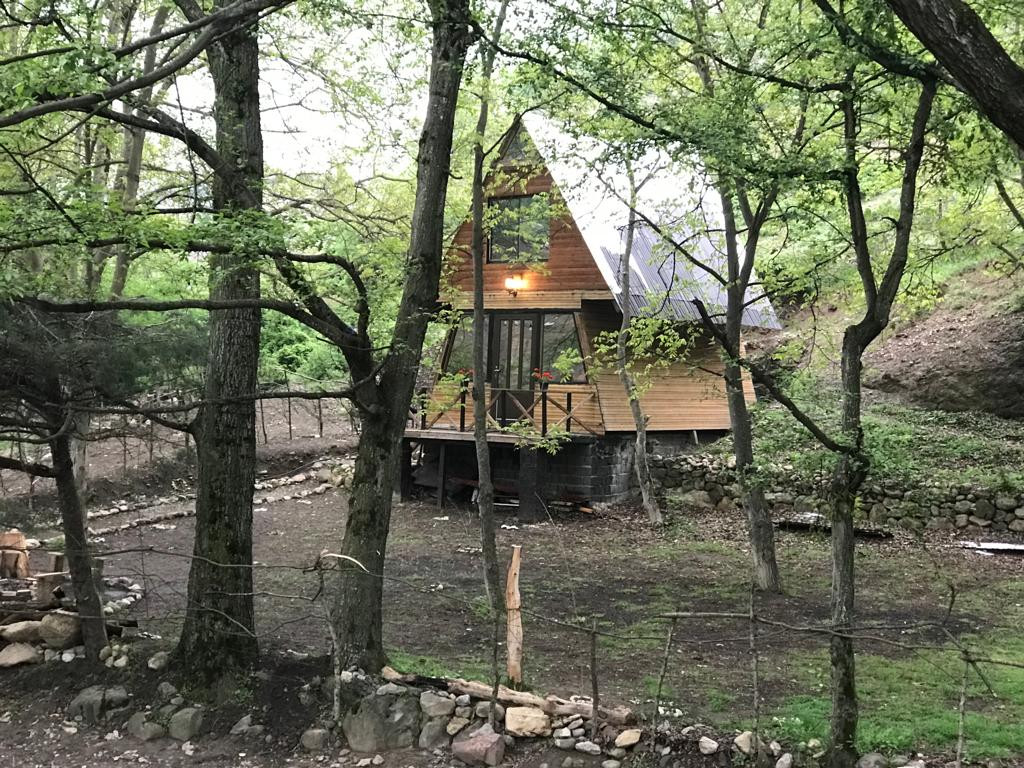 نمای ساختمان نمای ساختمان