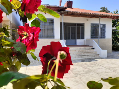 ویلا دو خواب با چشم‌انداز جنگل فوق العاده تمیز