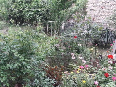 خانه باغ چشم‌انداز جنگل