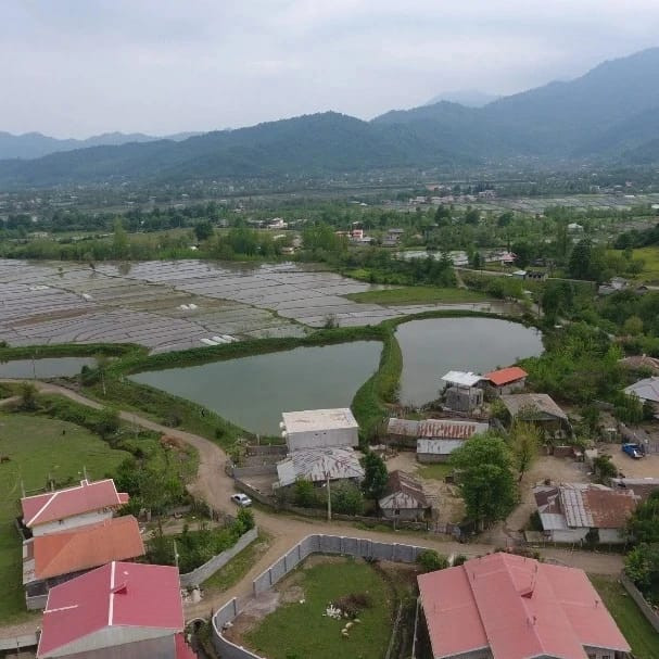 اطراف اقامتگاه