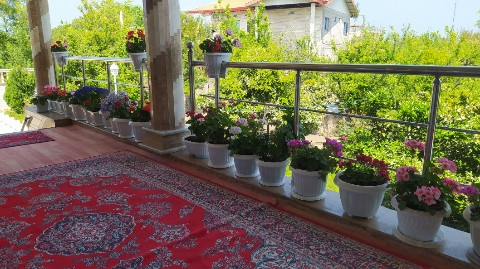 ایوان ایوان