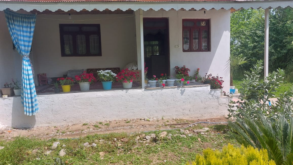 ایوان ایوان