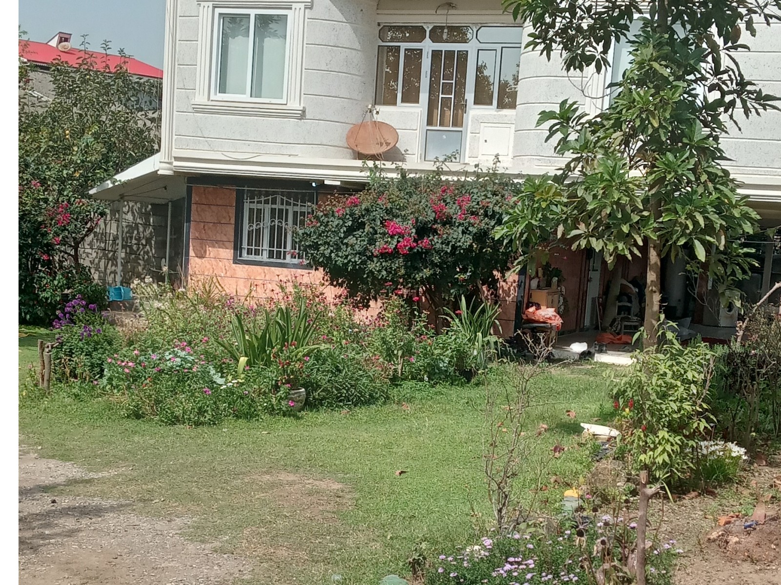 نمای ساختمان نمای ساختمان