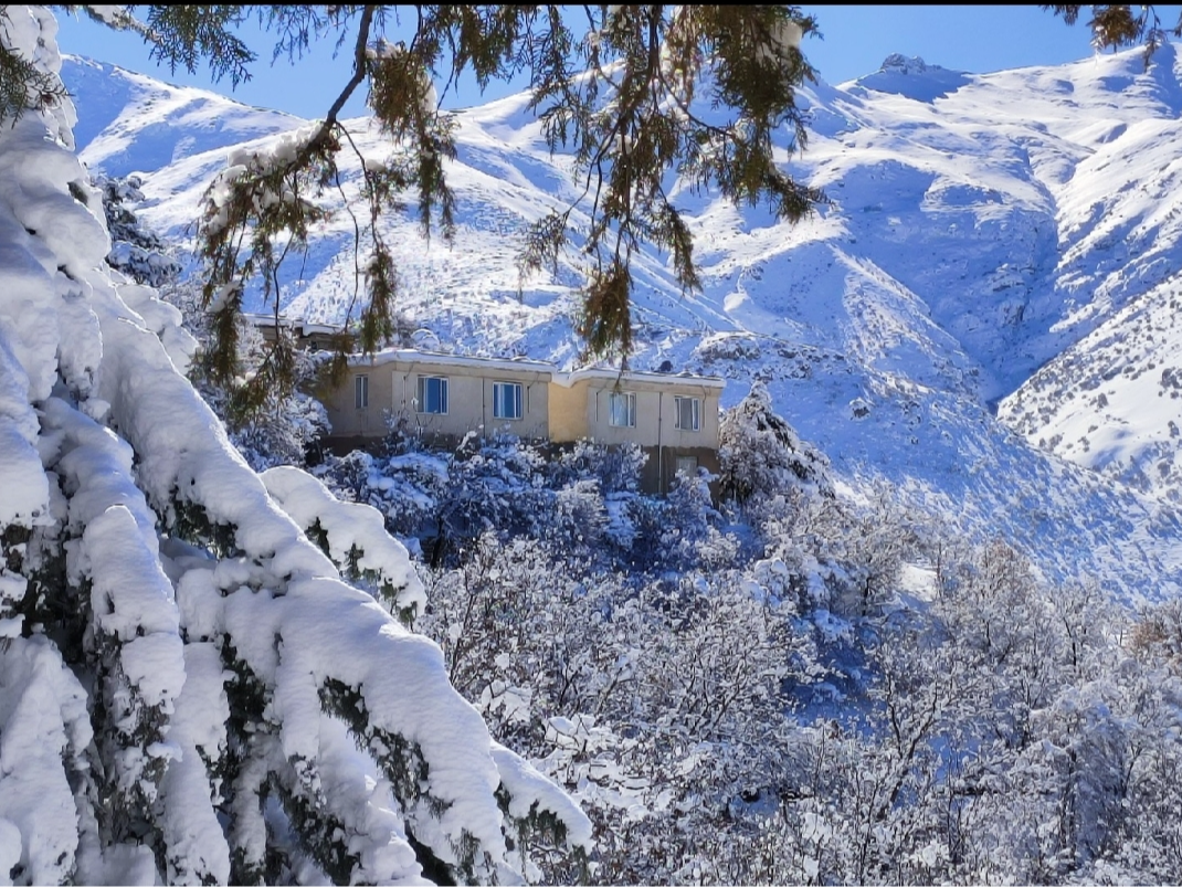 نمای بیرونی ساختمان