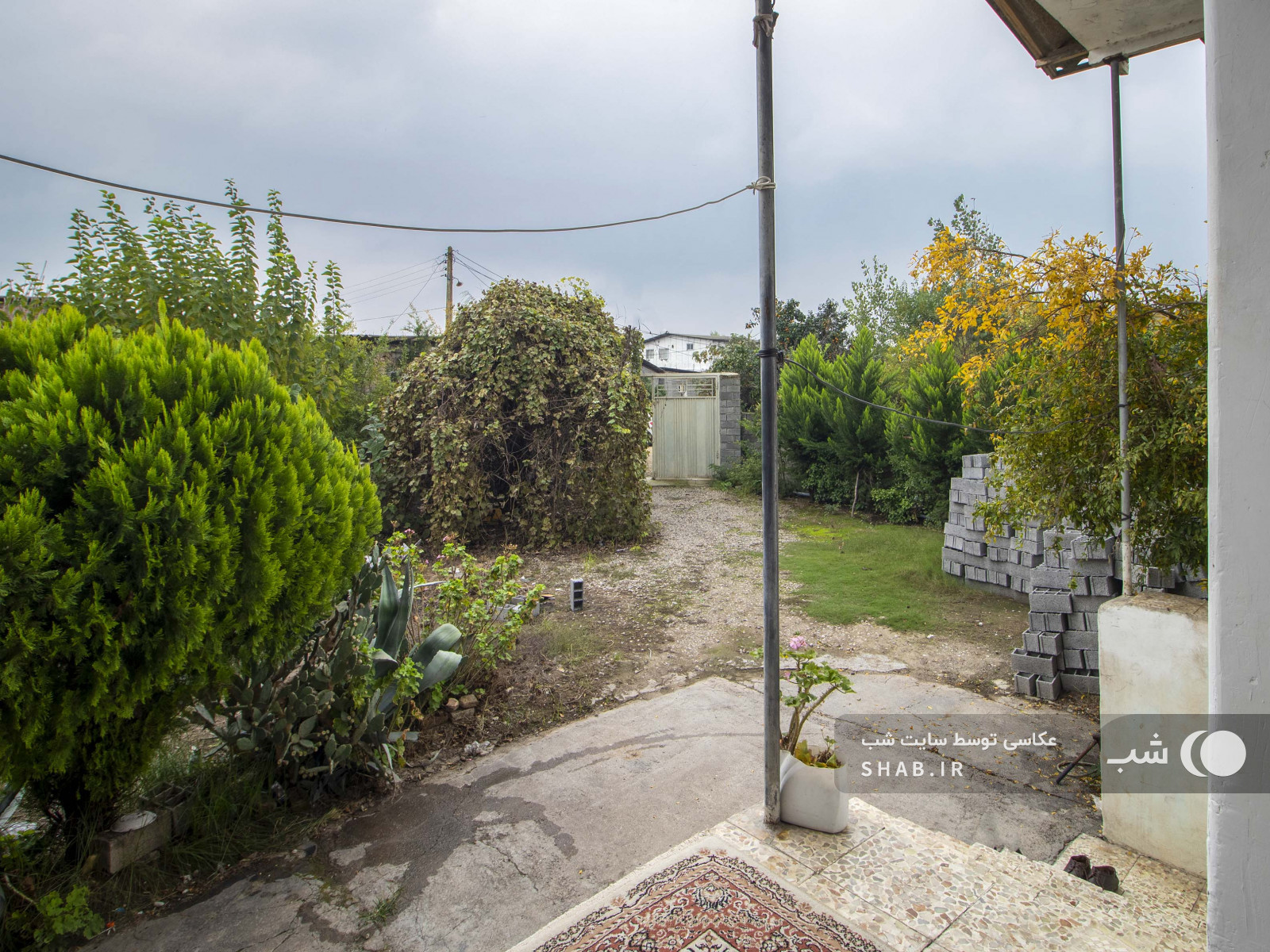 ویوی تراس ویوی تراس