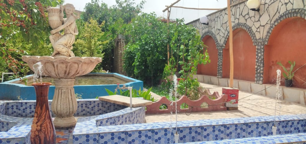حیاط