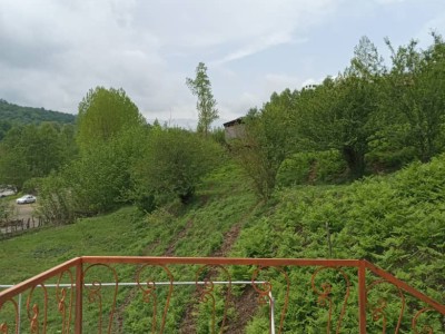 ویلای نشا در کنار رودخانه