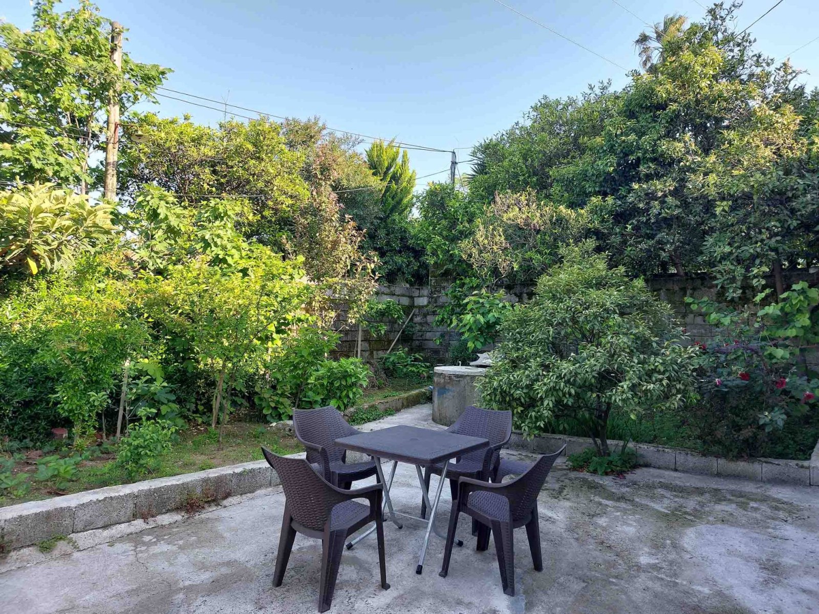حیاط زیبای ویلای شهرزاد