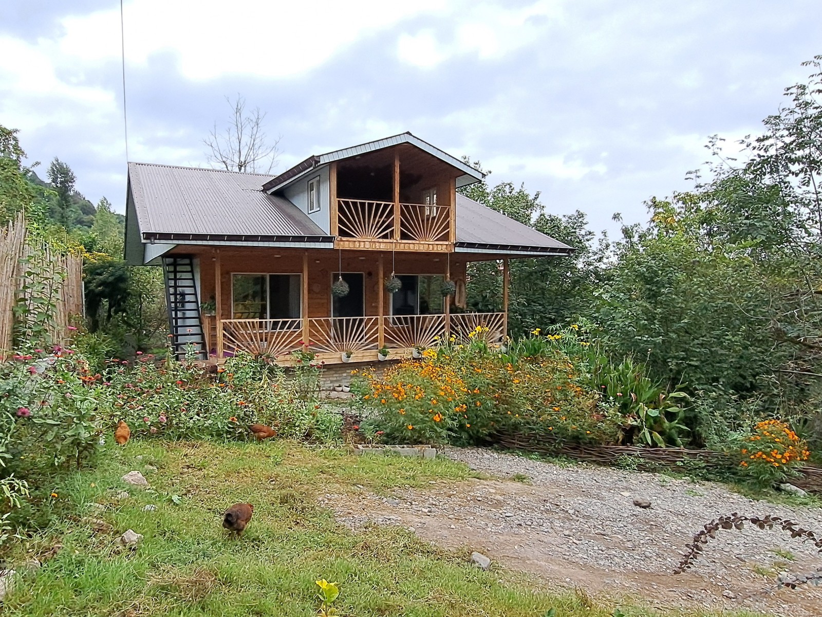 نما از حیاط کلبه