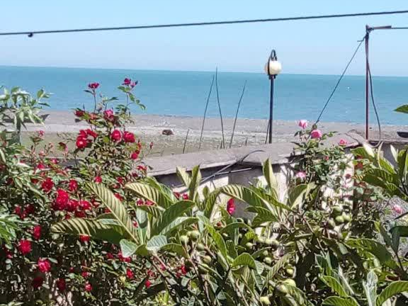 ویو دریا ویو دریا