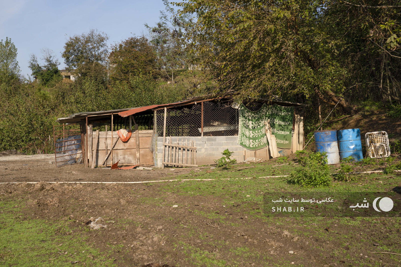 محوطه اطراف اقامتگاه محوطه اطراف اقامتگاه