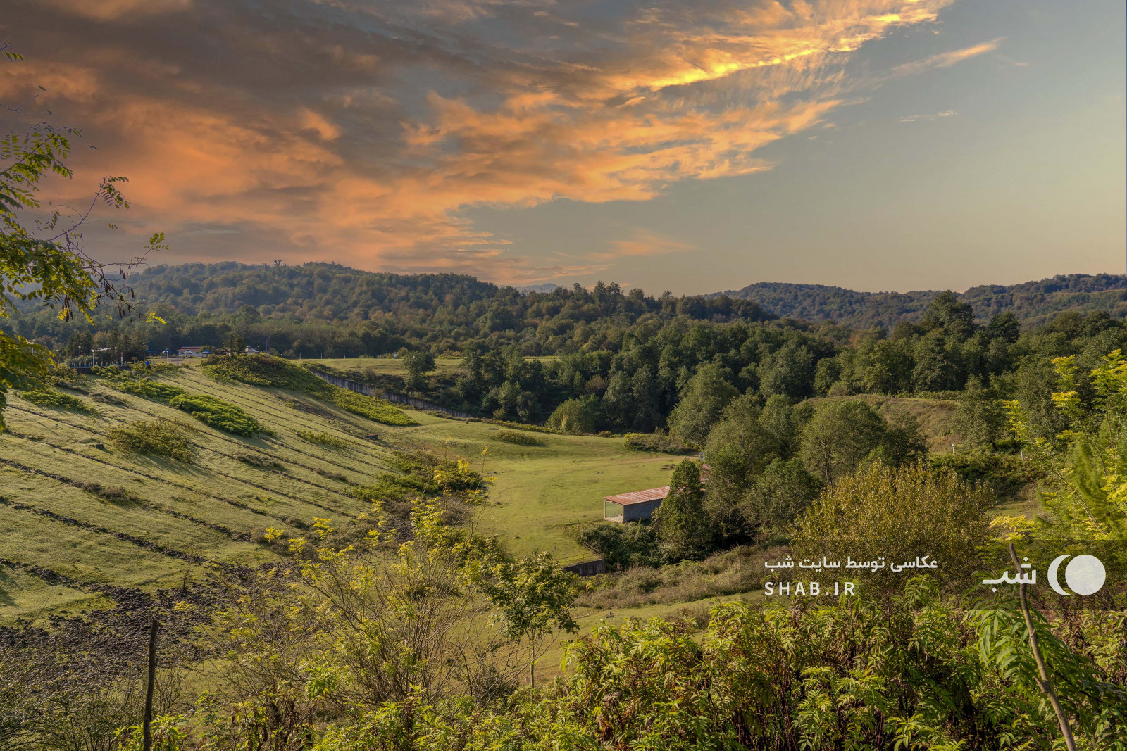 محوطه اطراف اقامتگاه