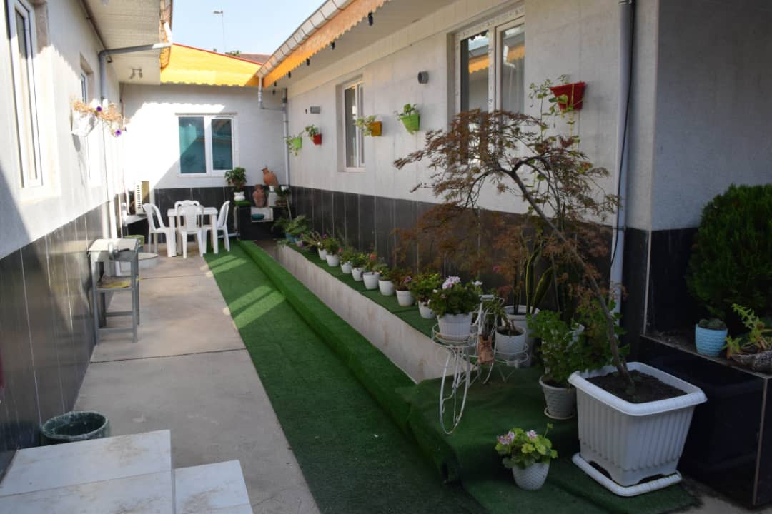 حیاط