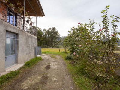 سوئیت و ویلا در دل طبیعت (اقامتگاه کادوس)