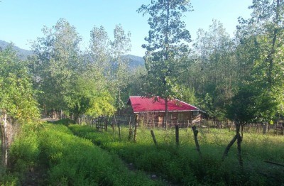 نمای ساختمان