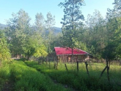 کلبه جنگلی در دل جنگل نزدیک ییلاقات