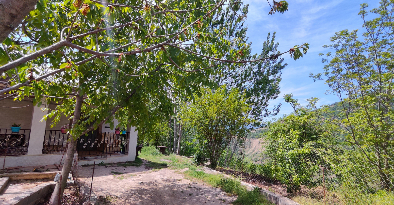 نمای طبیعت نمای طبیعت