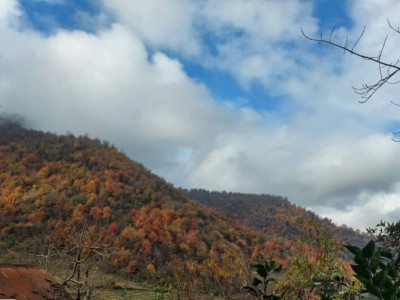 باغ ویلای سنتی با چشم‌انداز کوهستان و جنگل