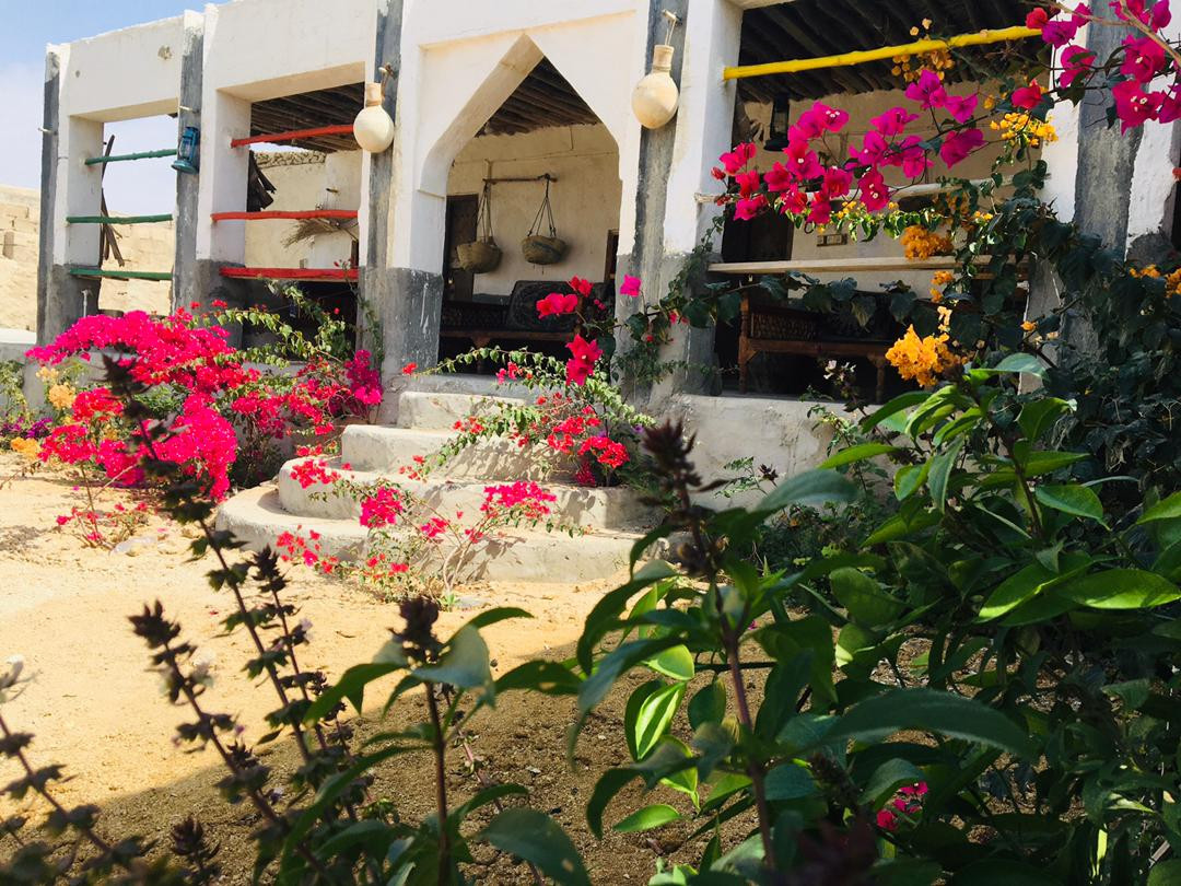 محوطه