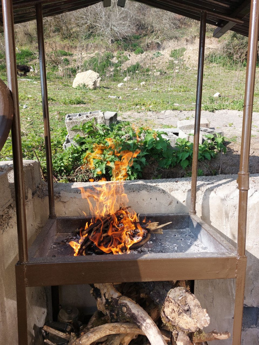باربیکیو