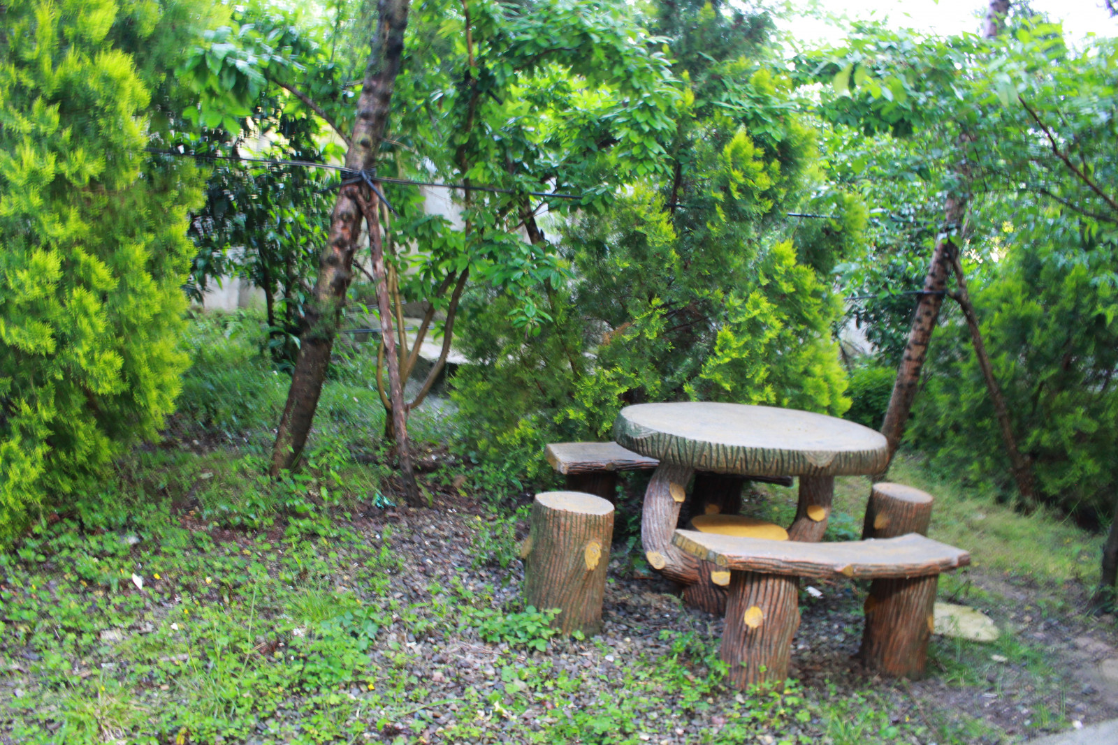 ناهارخوری بیرون ساختمان