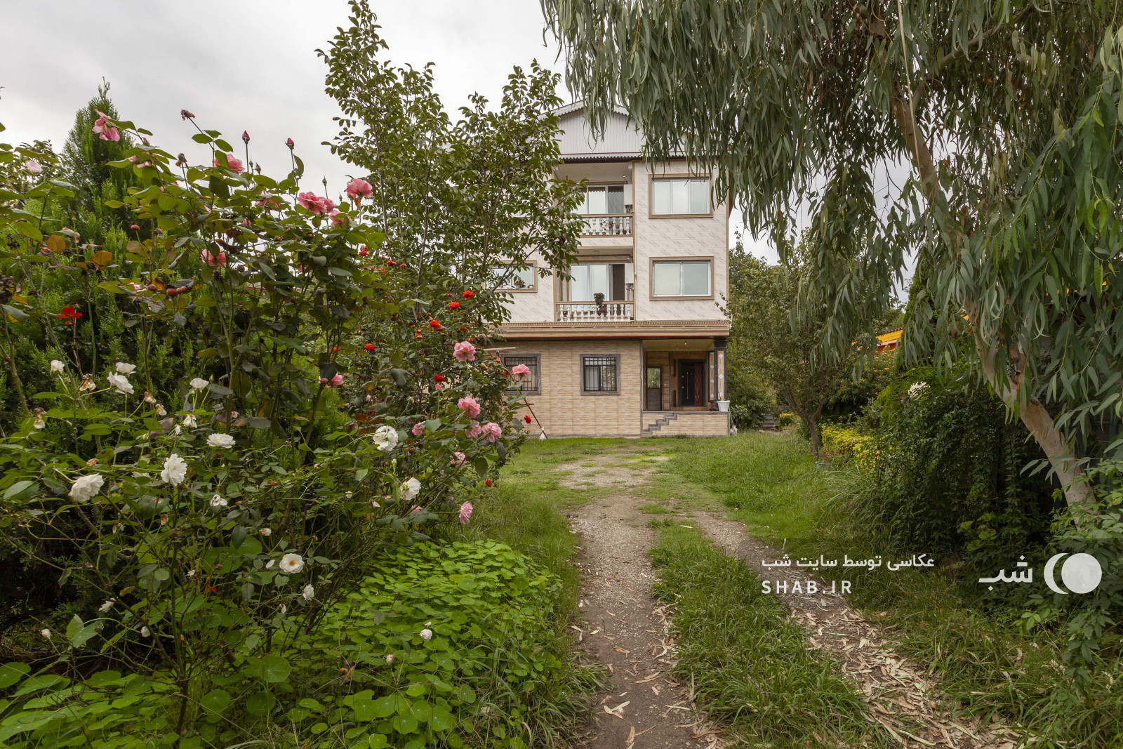 حیاط و نما حیاط و نما