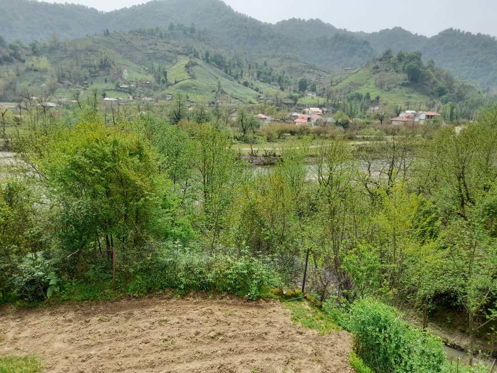 ویو ساختمان