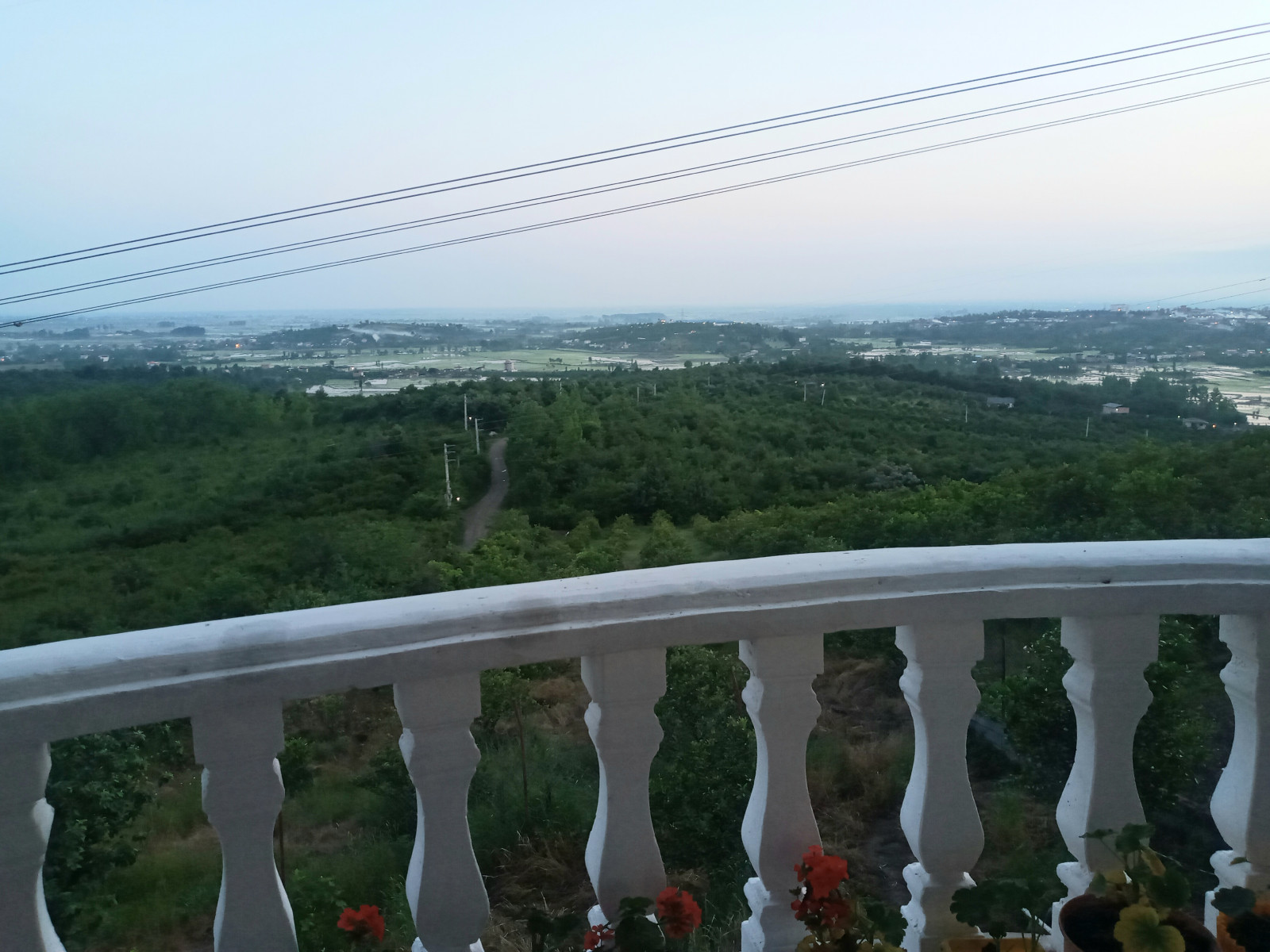 ویوی شمالی ویوی شمالی