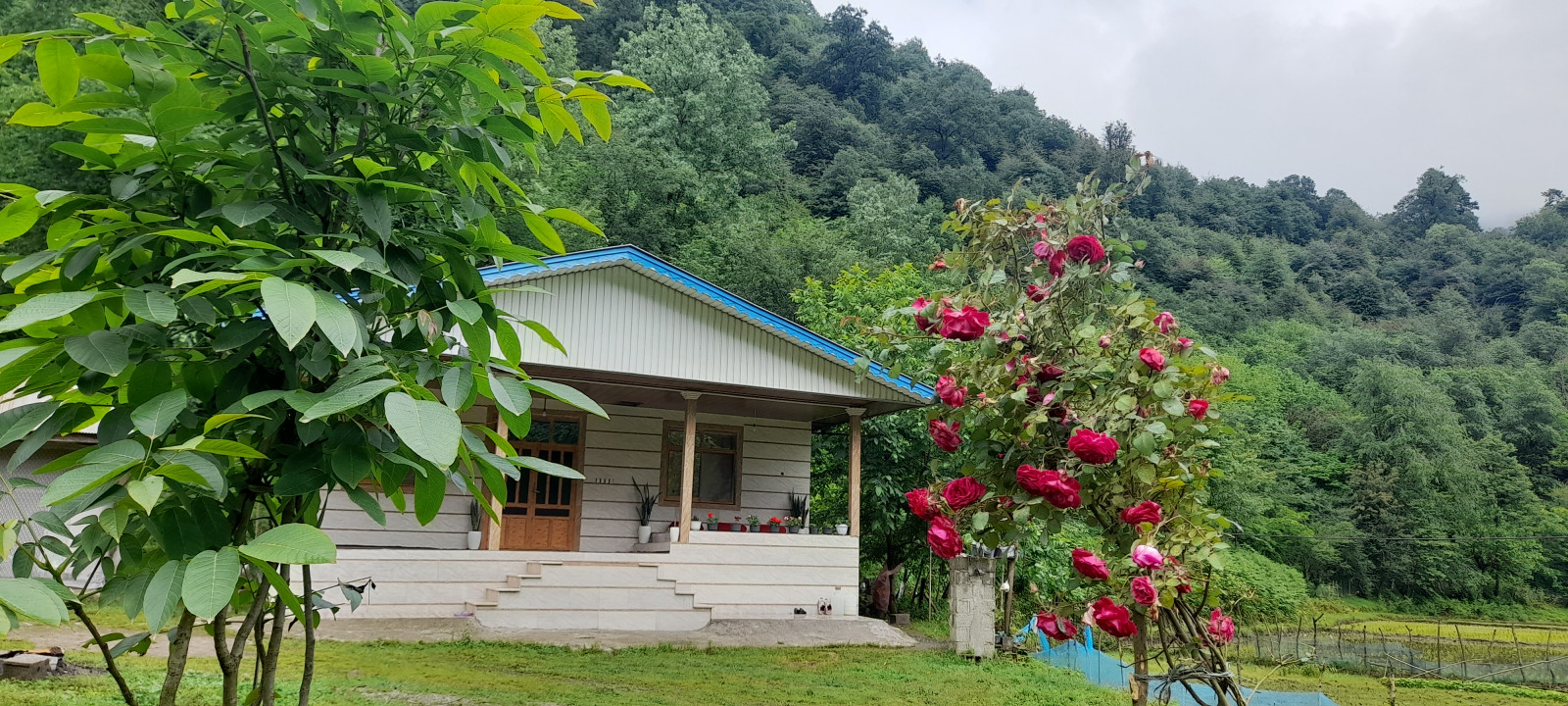 نمای ساختمان