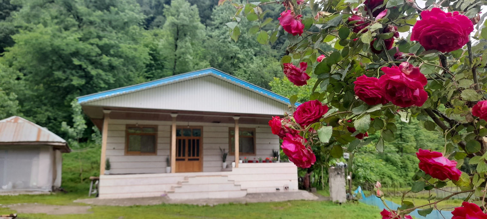 نمای ساختمان