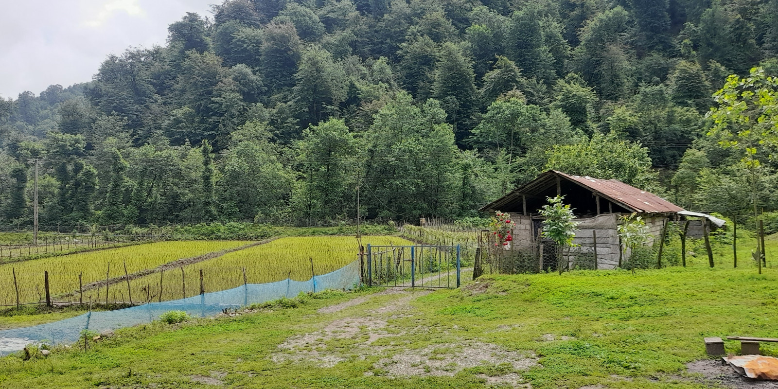 چشم انداز اقامتگاه