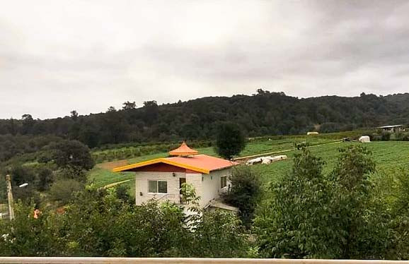 نمای تابستانی اقامتگاه