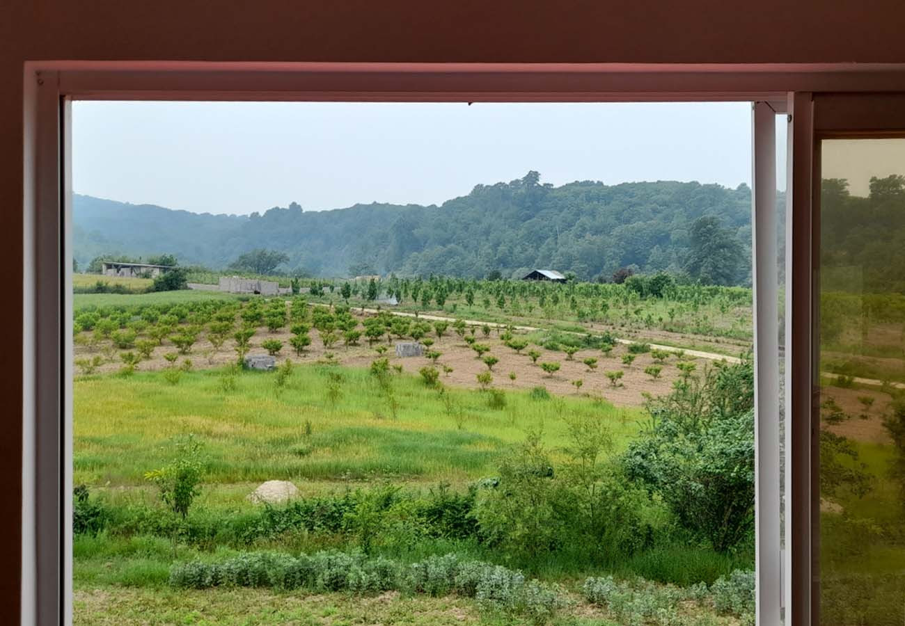 ویوی تابستانی اتاق خواب