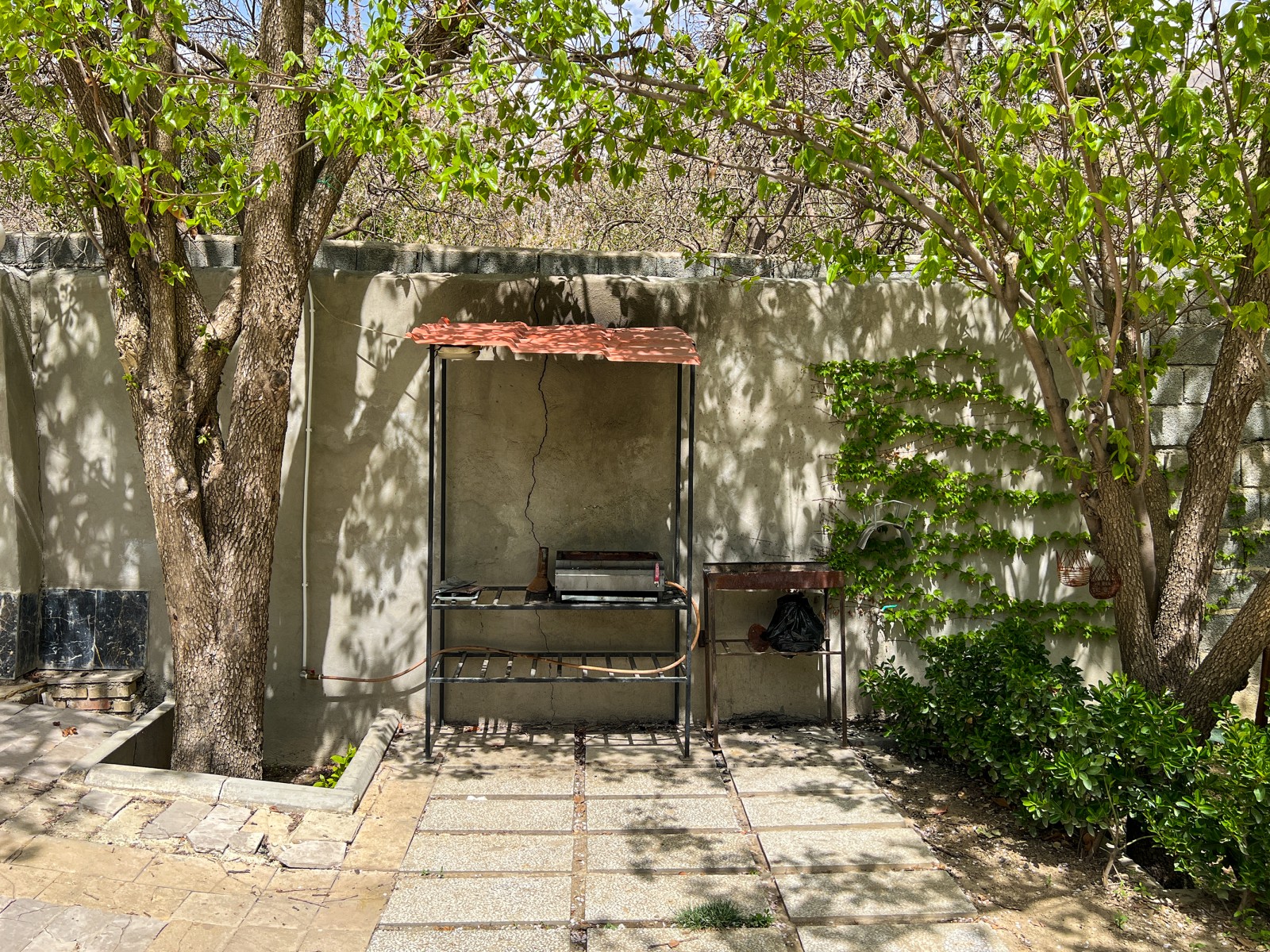 حیاط