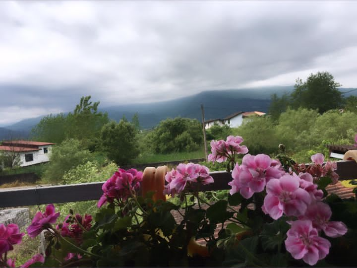 نمای جنوبی تراس