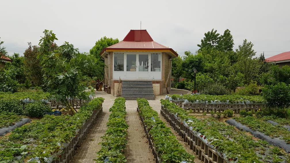 نمای پشت باغ ویلا نمای پشت باغ ویلا