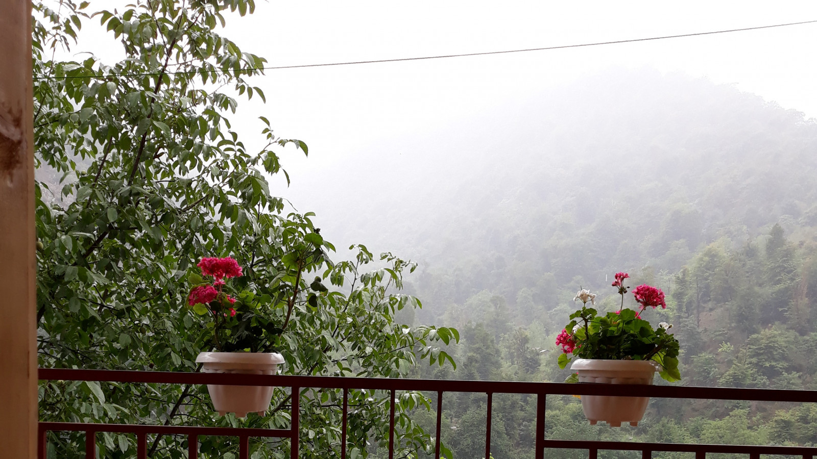 چشمانداز چشمانداز