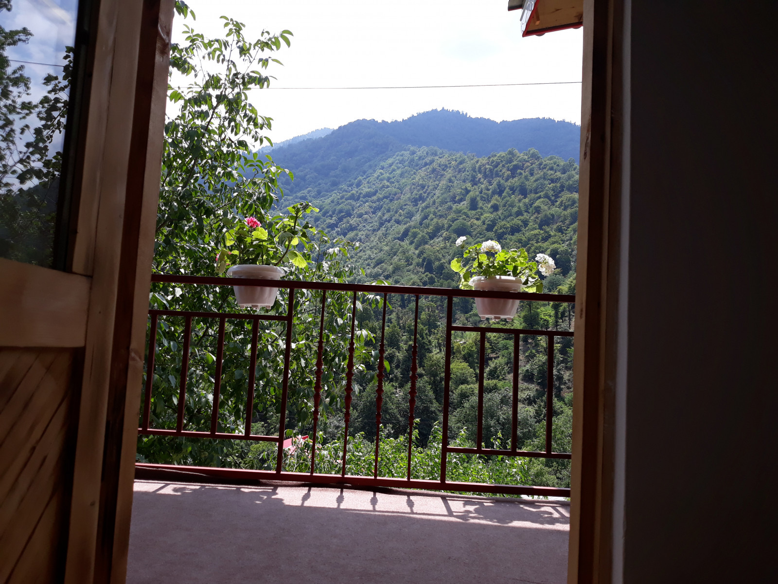 چشمانداز چشمانداز