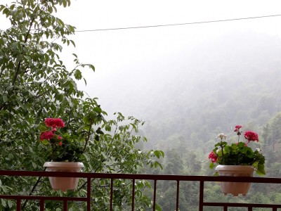 ویلا جنگلی دو خواب در ماسال ویلا جنگلی دو خواب در ماسال