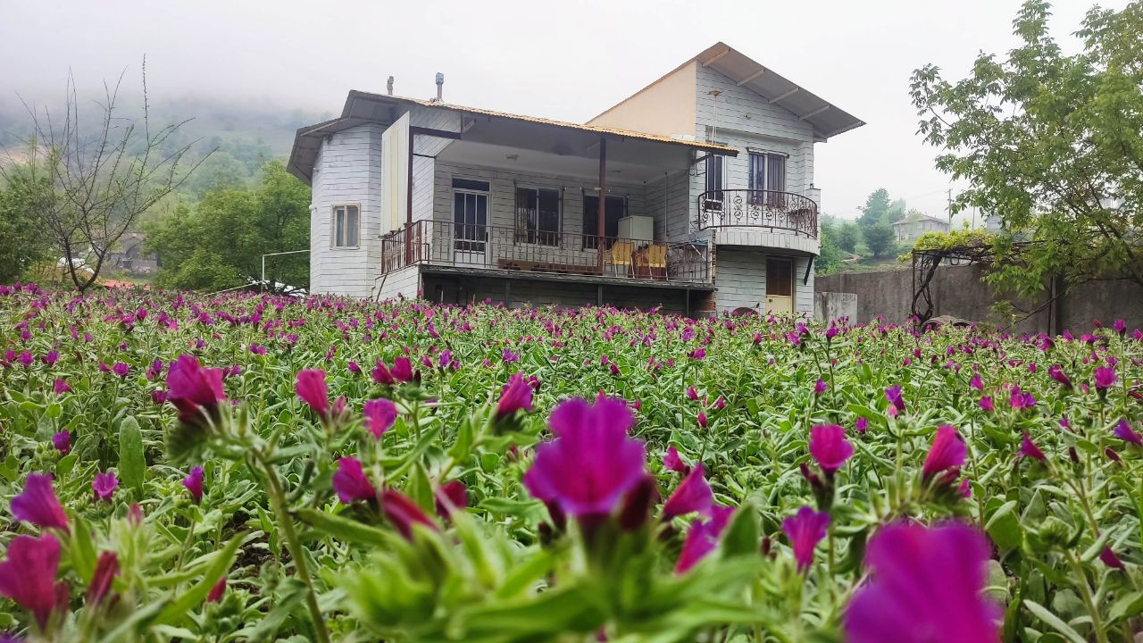 نمای ضلع جنوبی