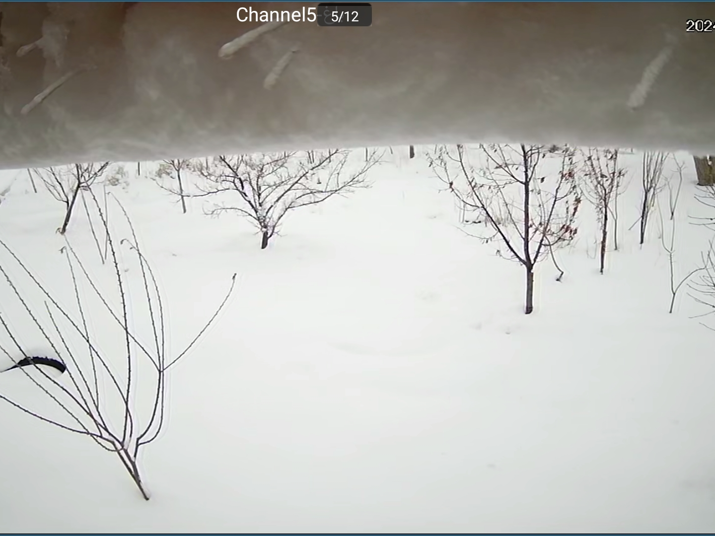 بهمن ماه 1402 بهمن ماه 1402