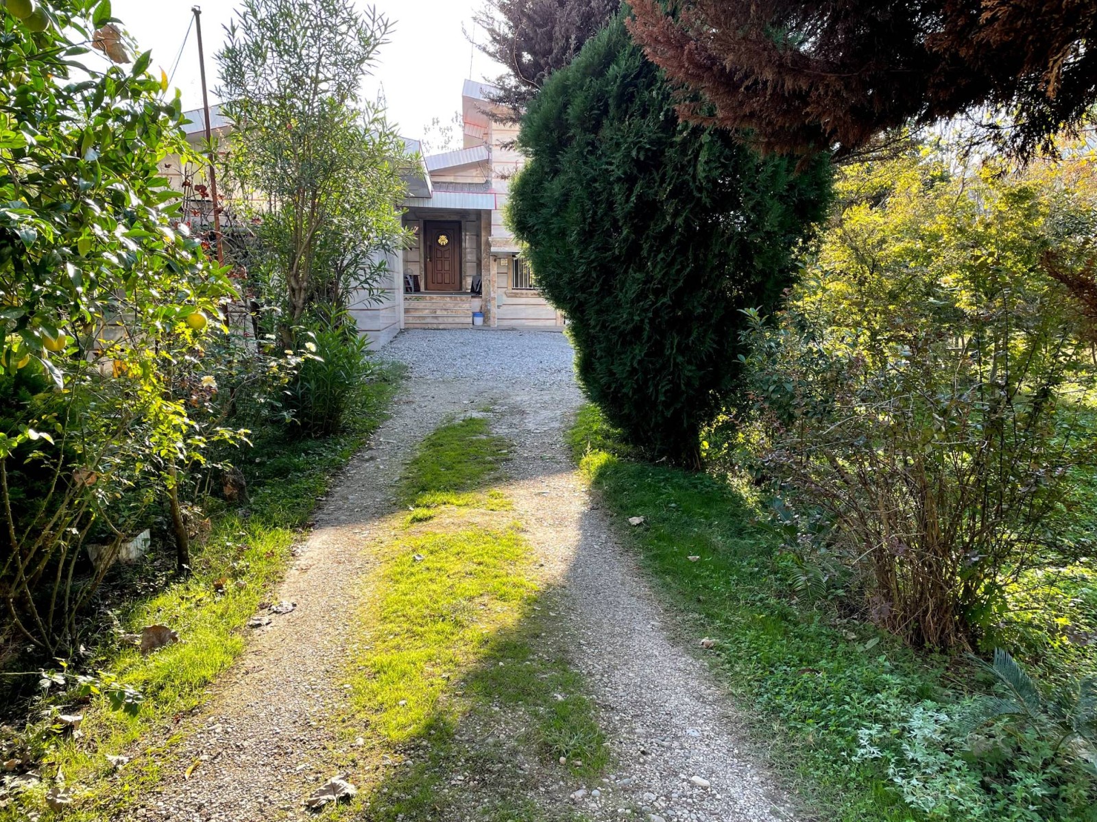 ورودی حیاط ورودی حیاط