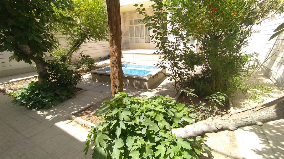 حیاط