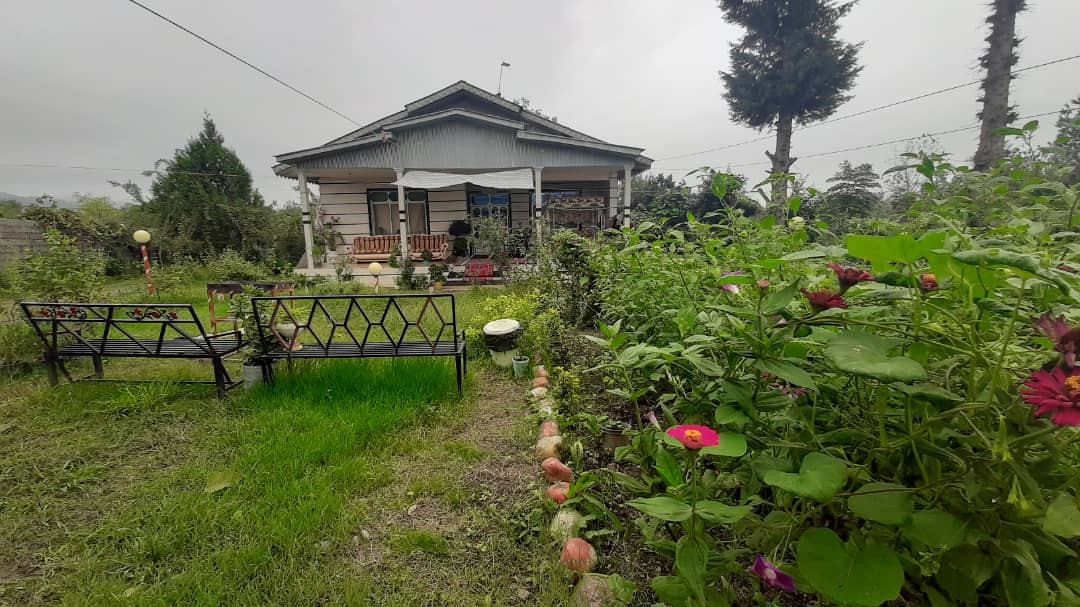 نمای کلی نمای کلی